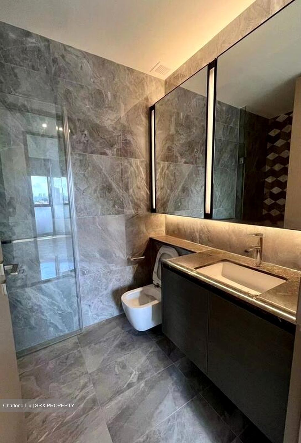 Leedon Green (D10), Condominium #446746621
